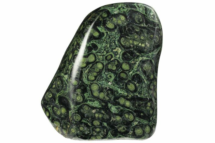 Polished Kambaba Jasper Freeform - Madagascar #137173
